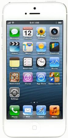 Смартфон Apple iPhone 5 32Gb White & Silver - Родники