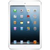 Apple iPad mini 16Gb Wi-Fi + Cellular белый - Родники