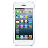 Apple iPhone 5 16Gb white - Родники